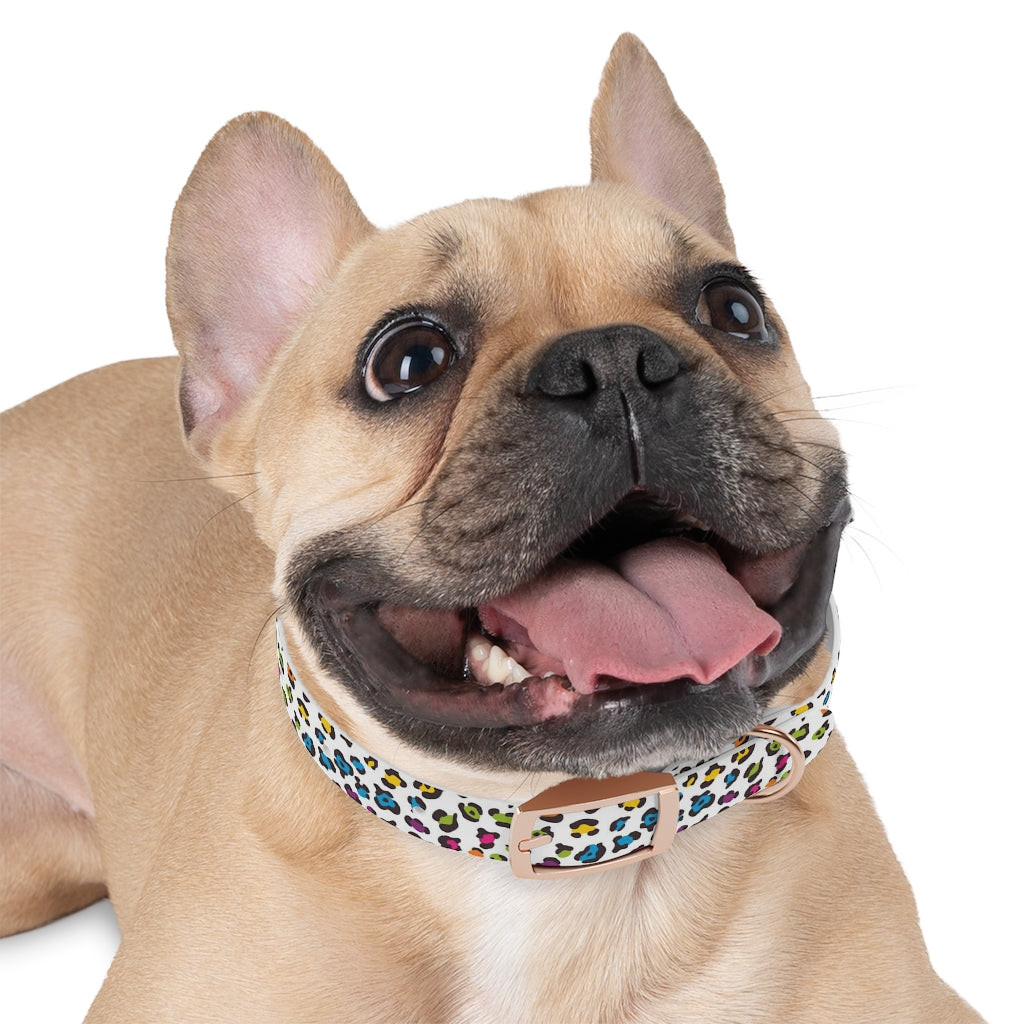 Courtney Dog Collar