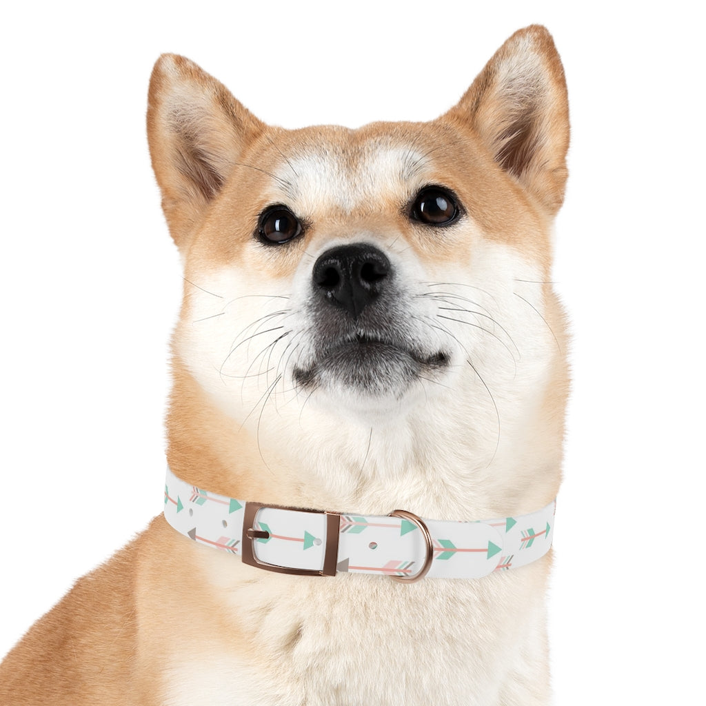 Archer Dog Collar