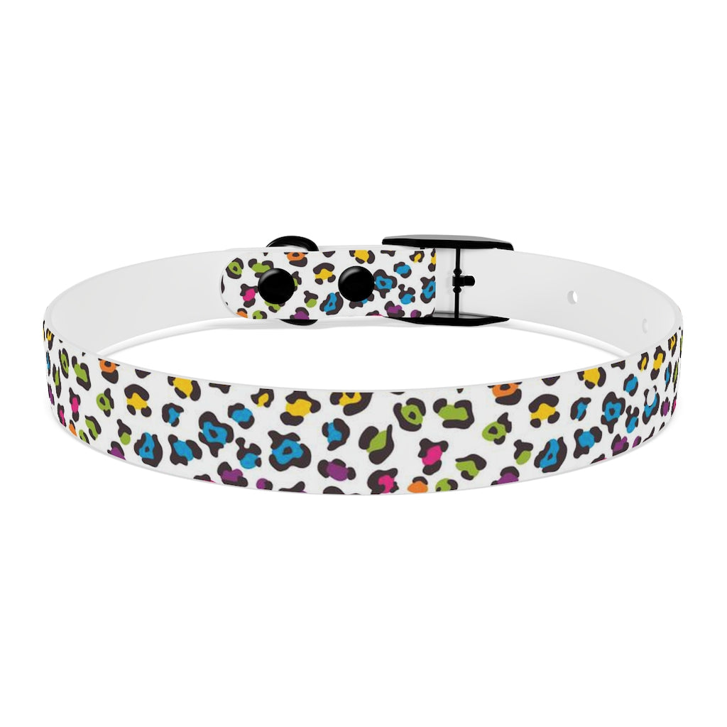 Courtney Dog Collar