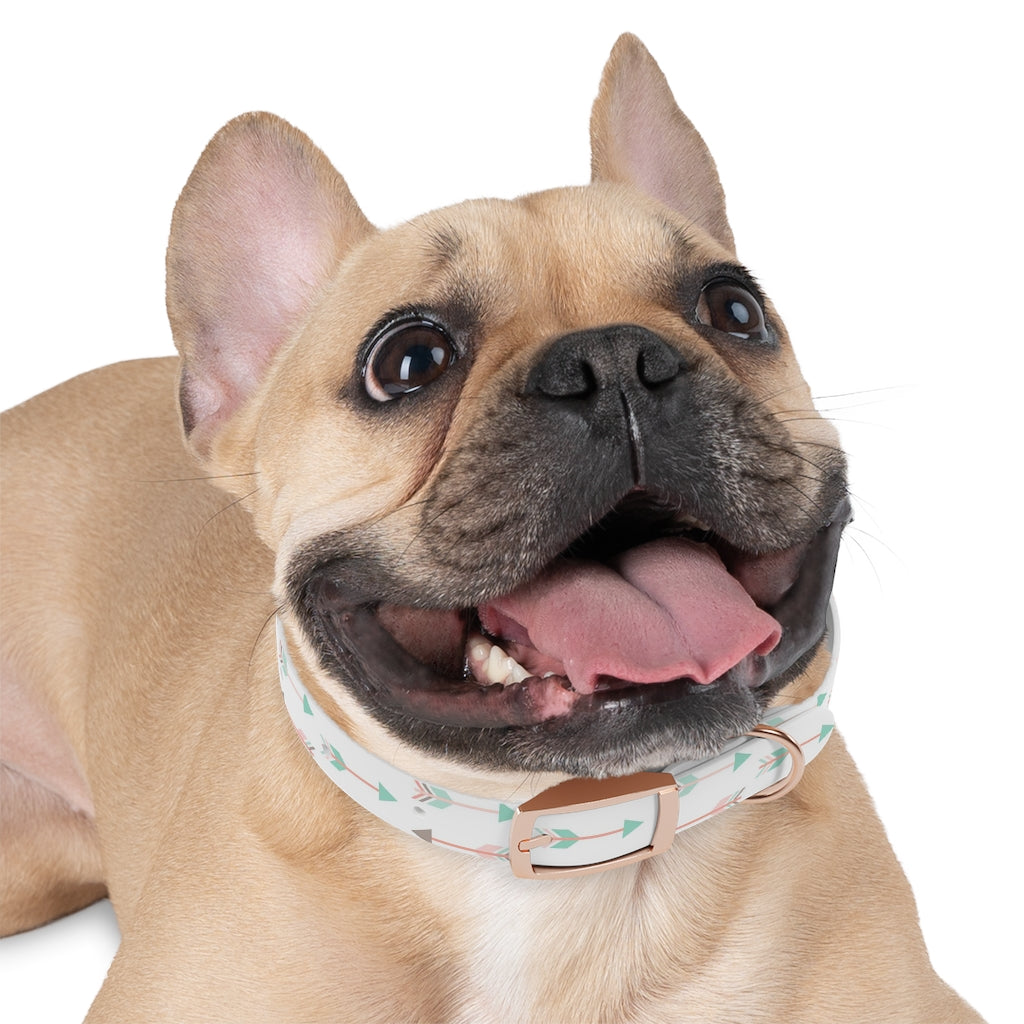 Archer Dog Collar