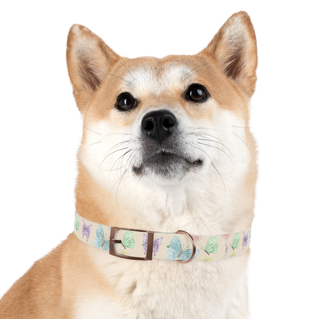 Flutter Dog Collar