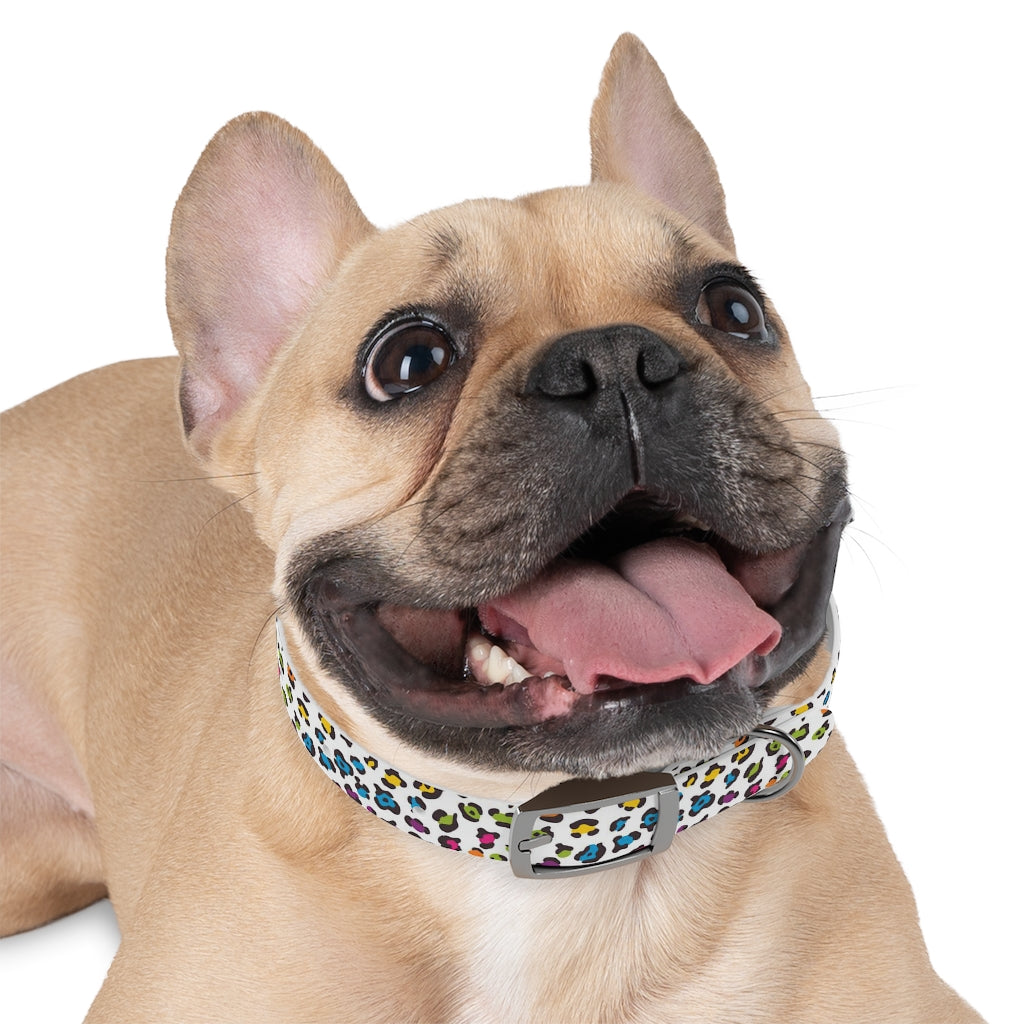 Courtney Dog Collar