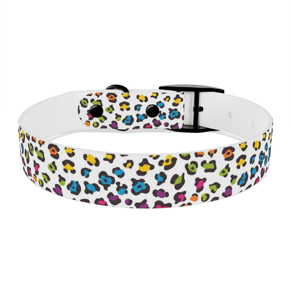 Courtney Dog Collar
