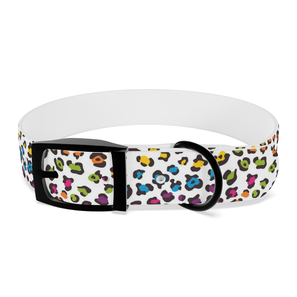 Courtney Dog Collar