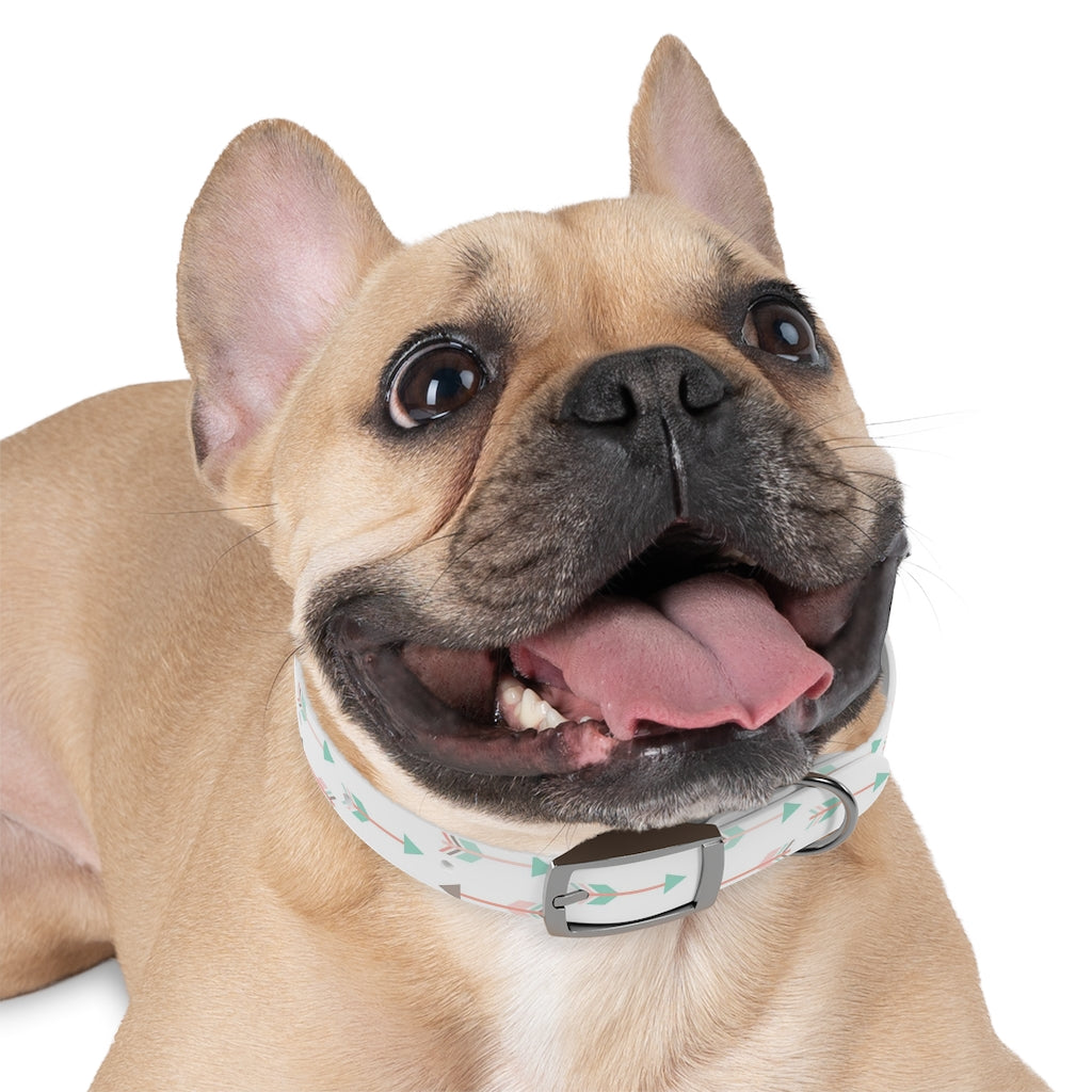 Archer Dog Collar