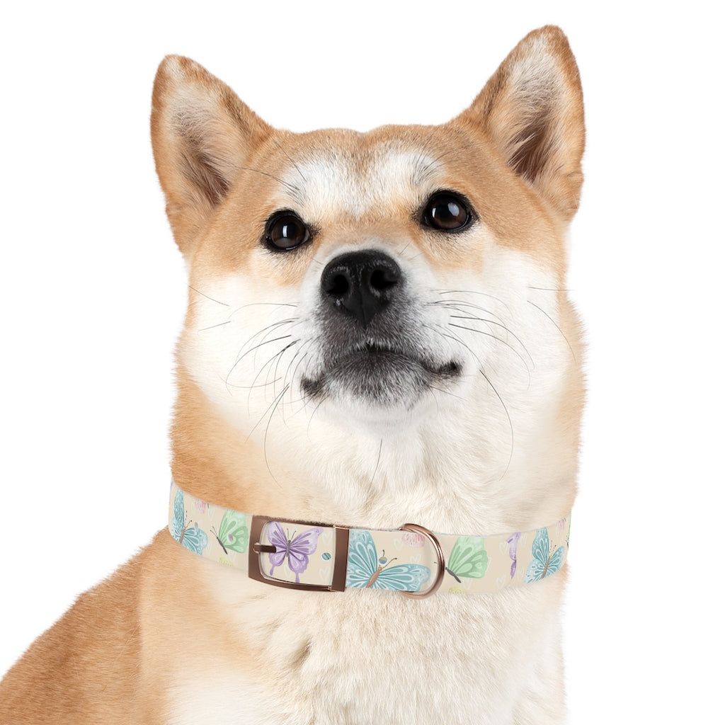 Flutter Dog Collar