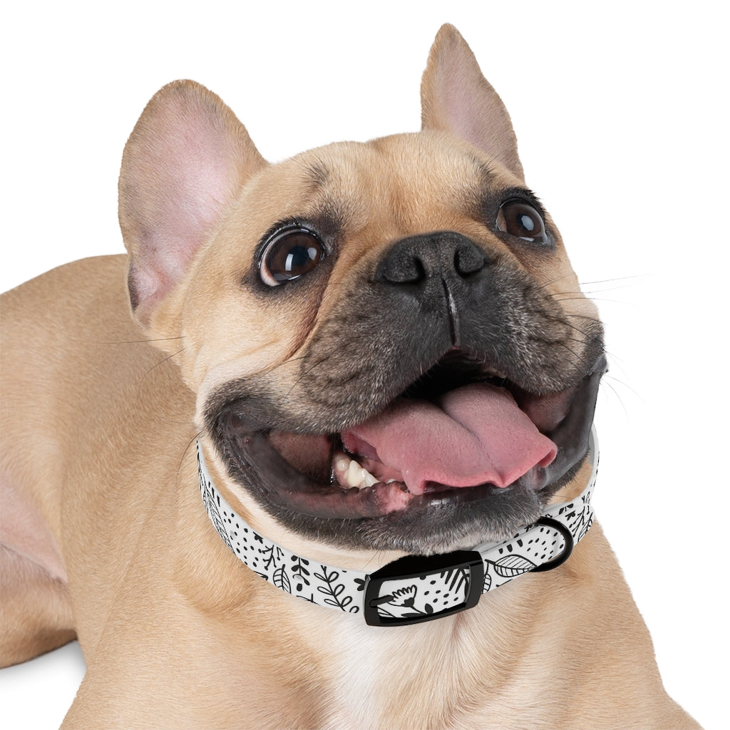 Nicole Dog Collar