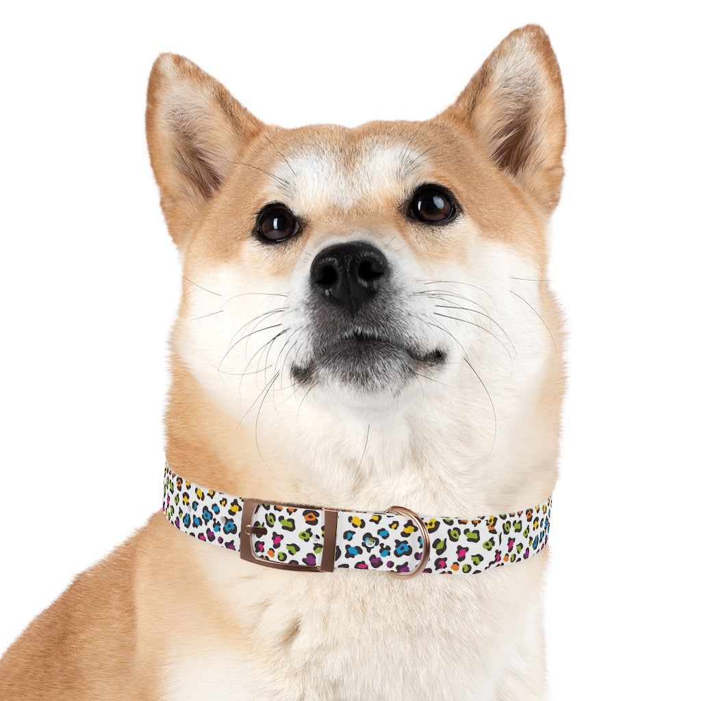 Courtney Dog Collar
