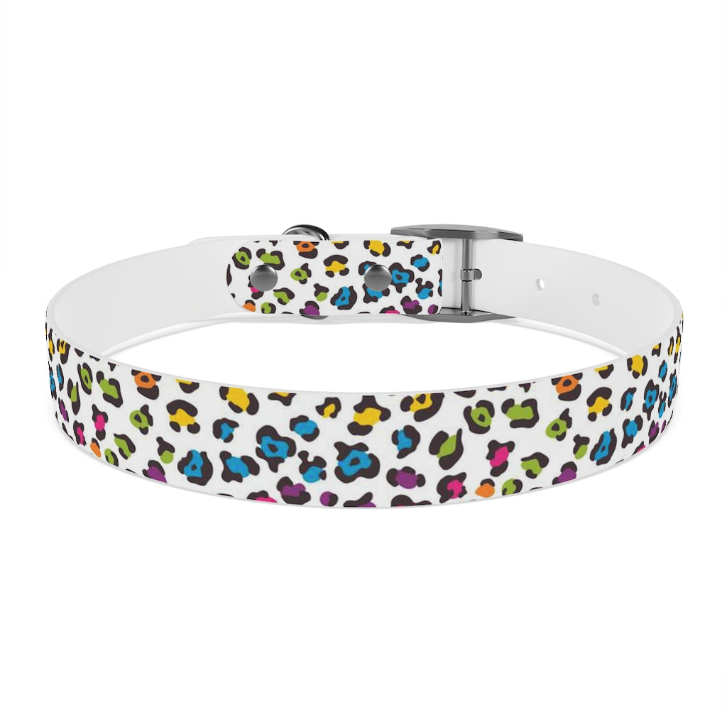 Courtney Dog Collar