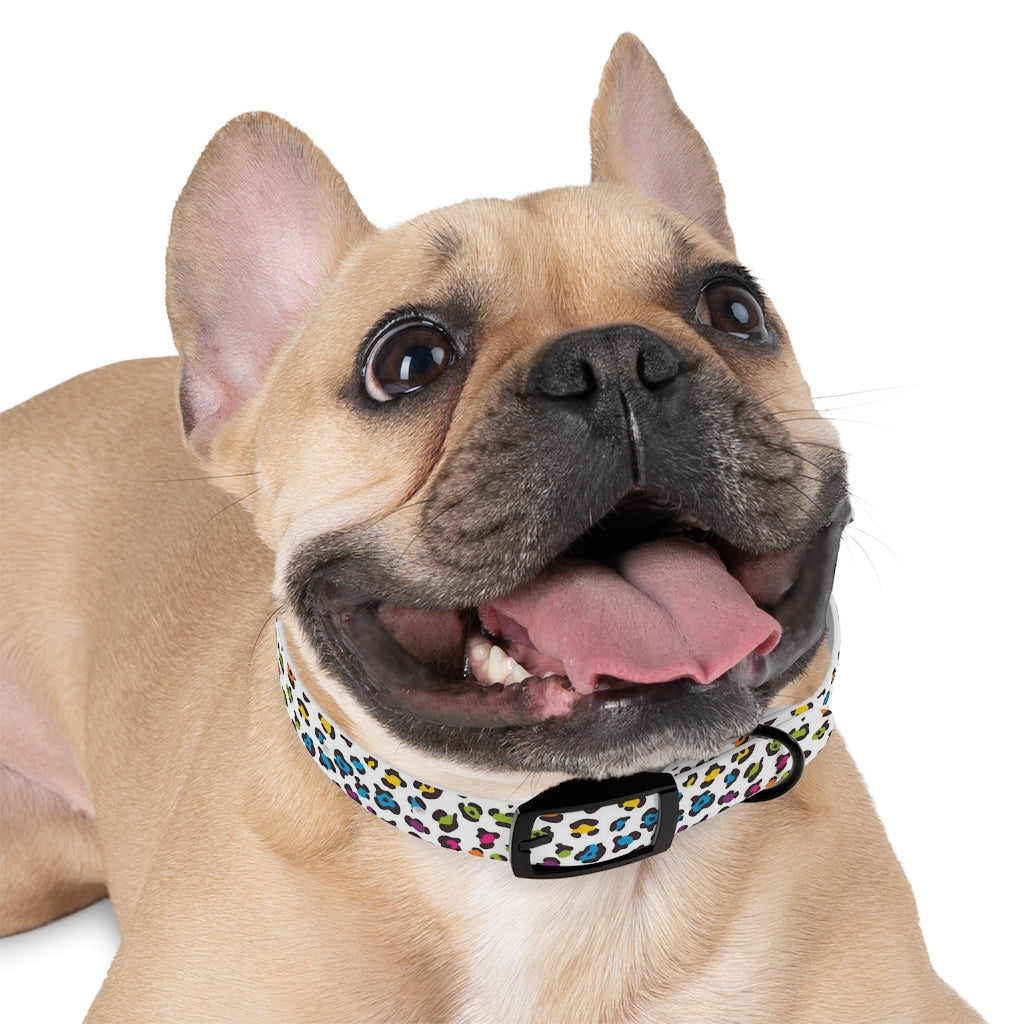 Courtney Dog Collar