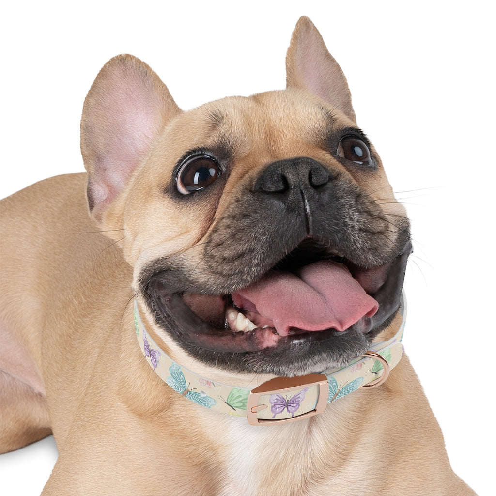 Flutter Dog Collar