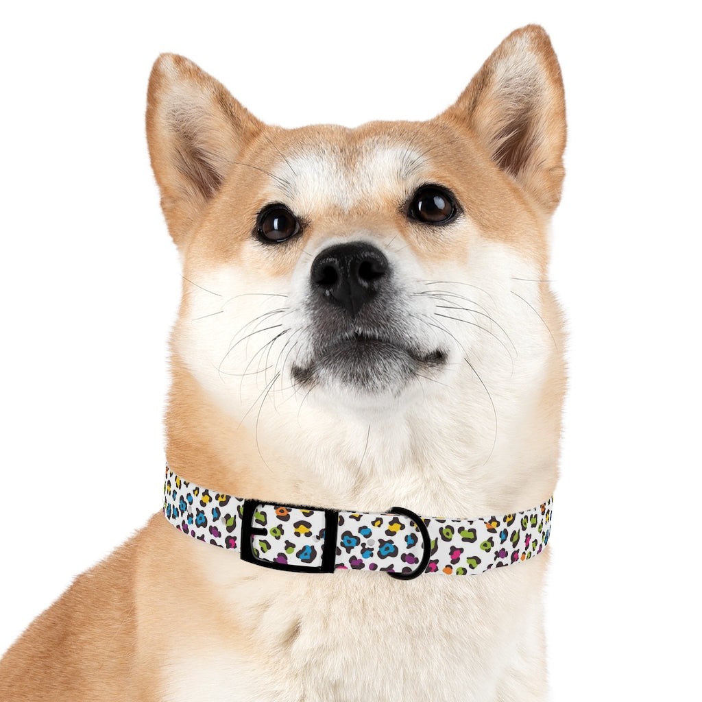 Courtney Dog Collar