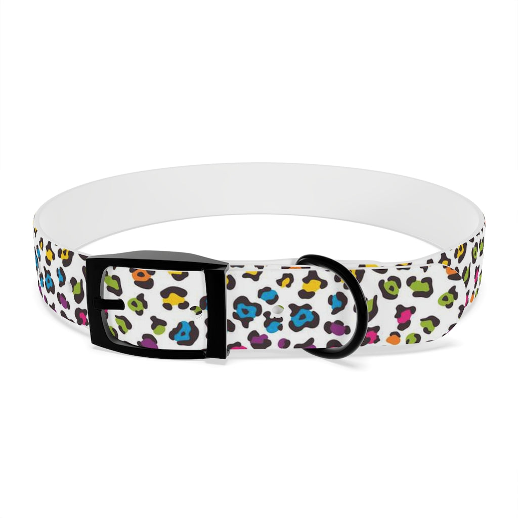 Courtney Dog Collar