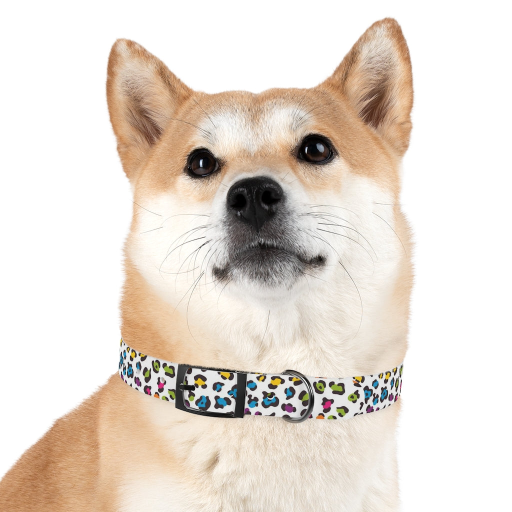 Courtney Dog Collar
