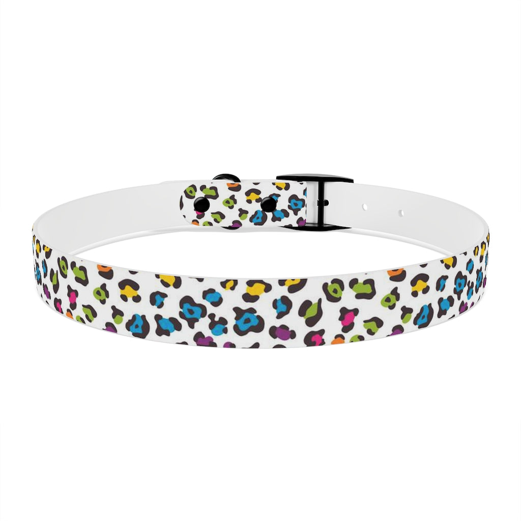 Courtney Dog Collar