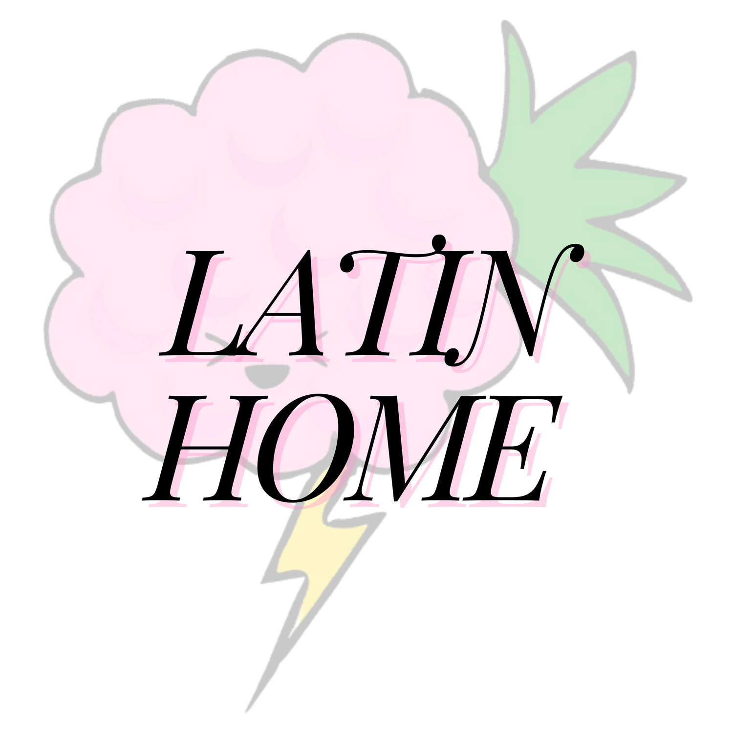 Latin Home Goods
