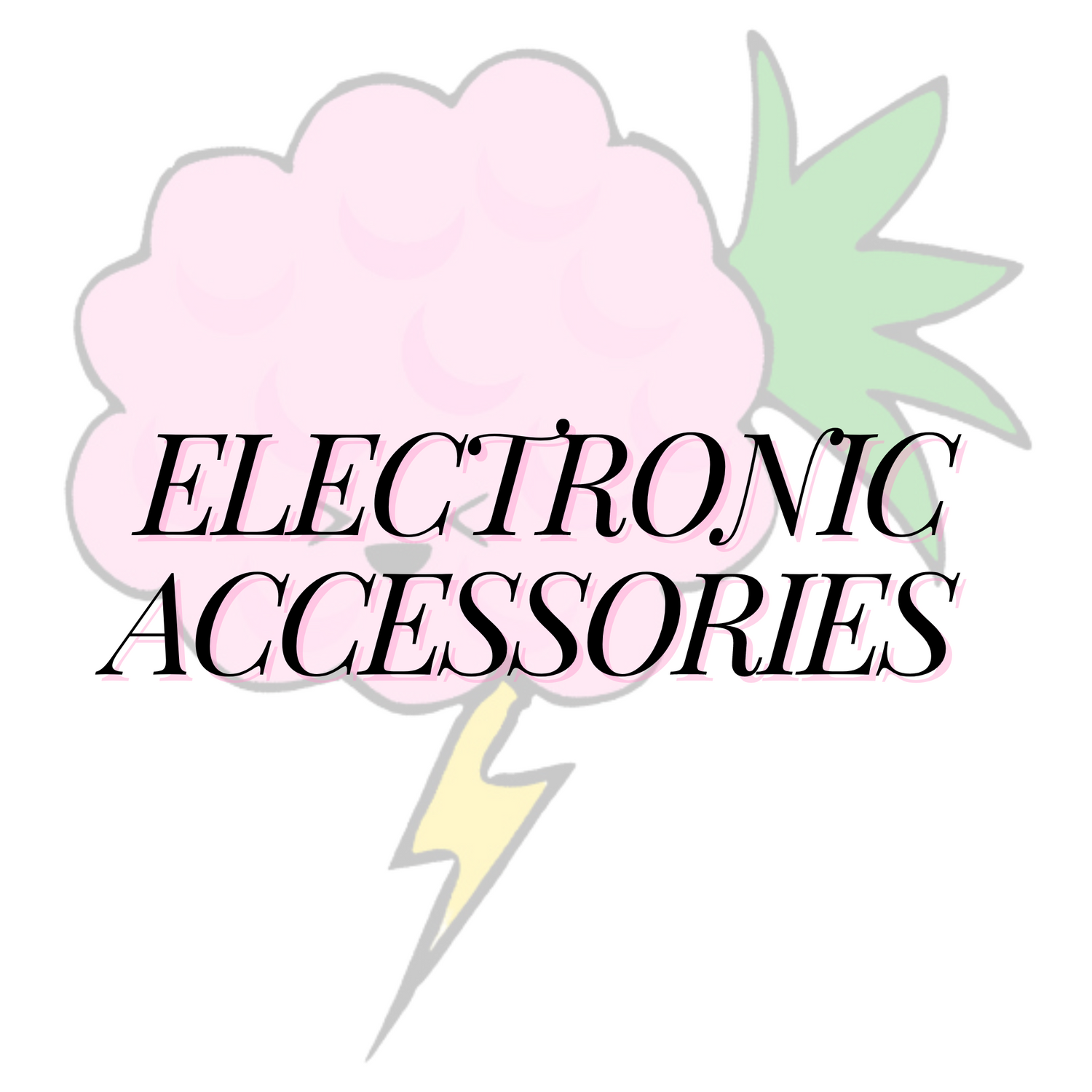 Electronics Accessories