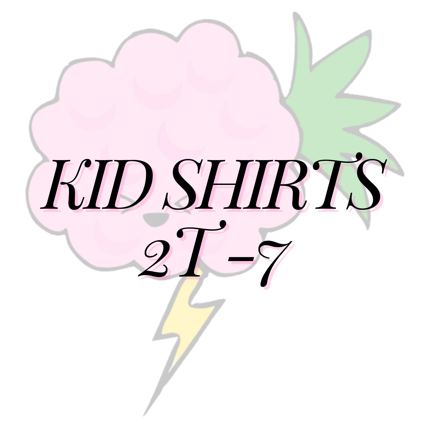 Kid Shirts Sizes 2T to 7