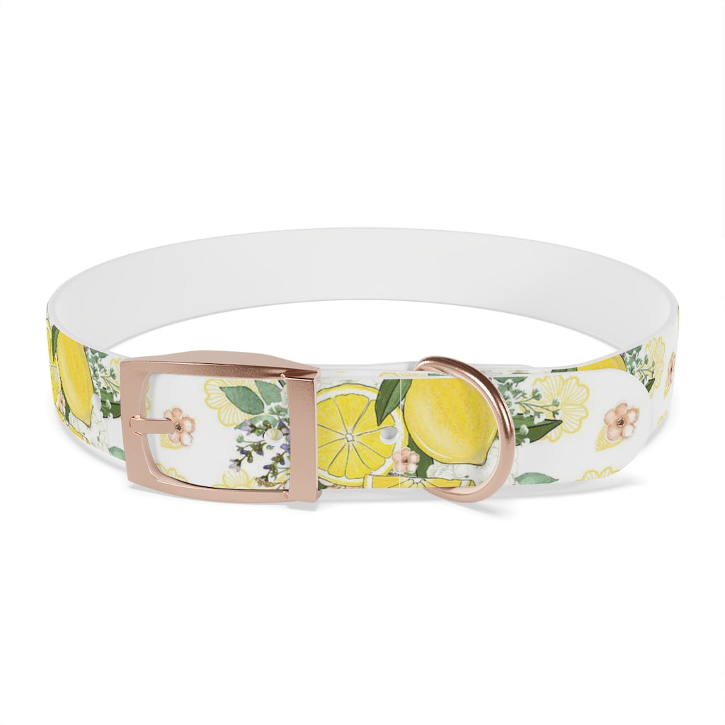 Lemonade Dog Collar
