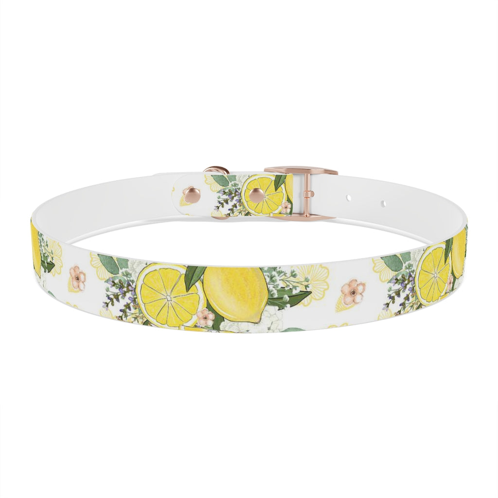 Lemonade Dog Collar