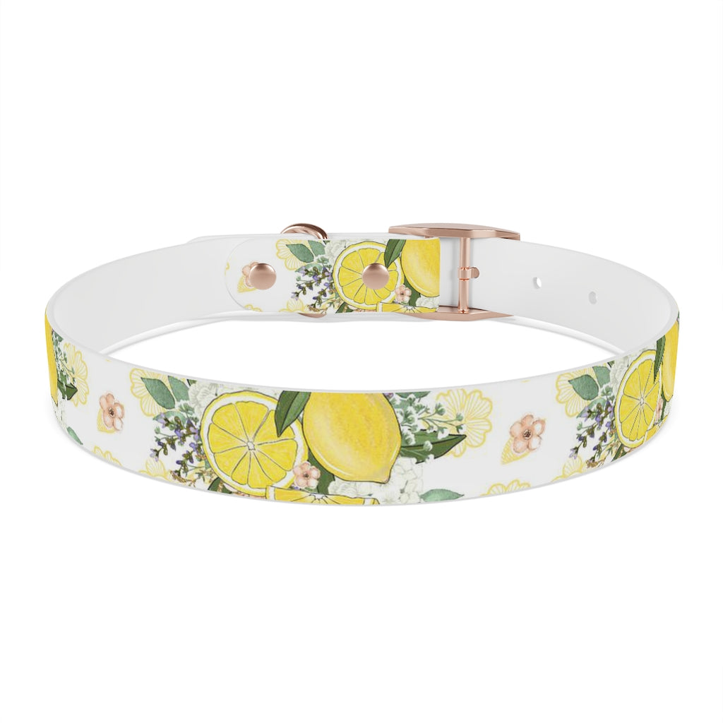 Lemonade Dog Collar