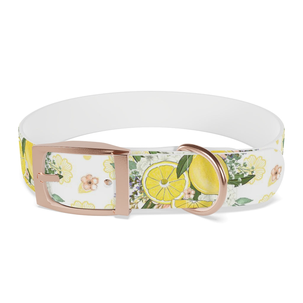 Lemonade Dog Collar