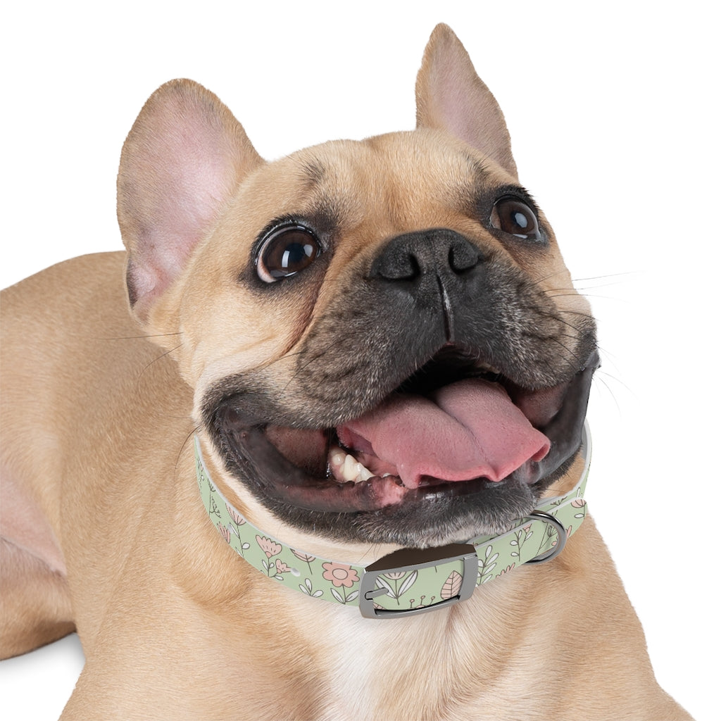 Bloom Dog Collar