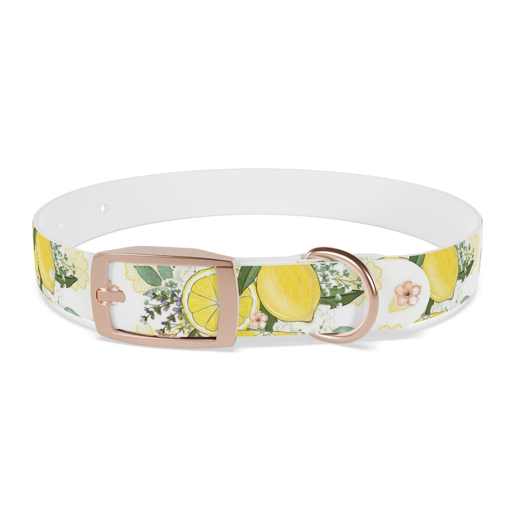 Lemonade Dog Collar