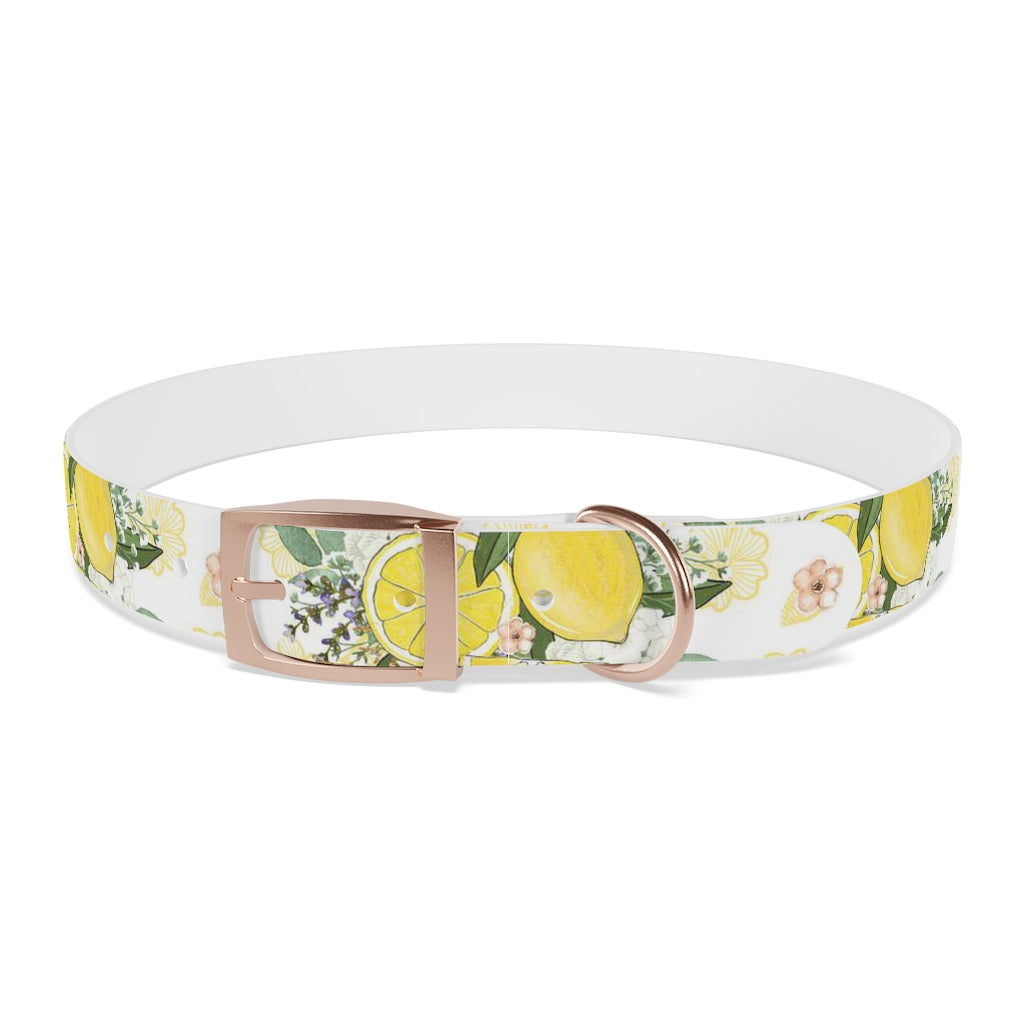 Lemonade Dog Collar