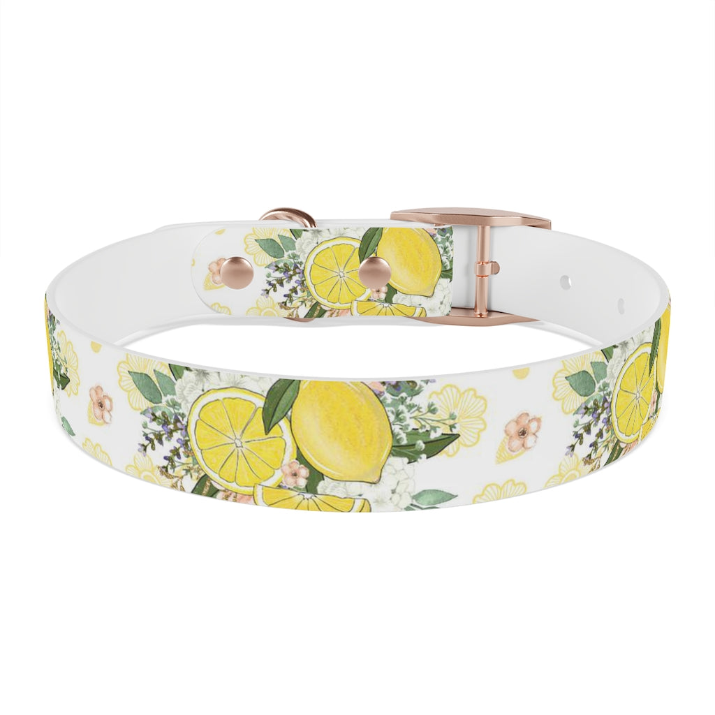 Lemonade Dog Collar