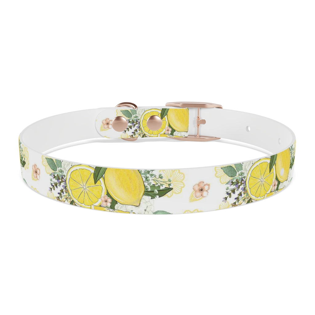 Lemonade Dog Collar